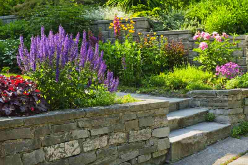 Garden with wall and steps