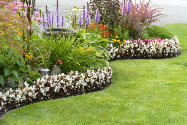 Landscaping in South Jersey | Impact Landscapes