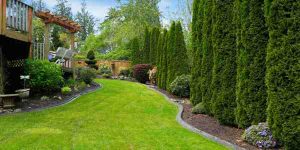 well landscaped yard